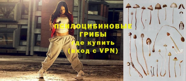соль курить ск Алзамай